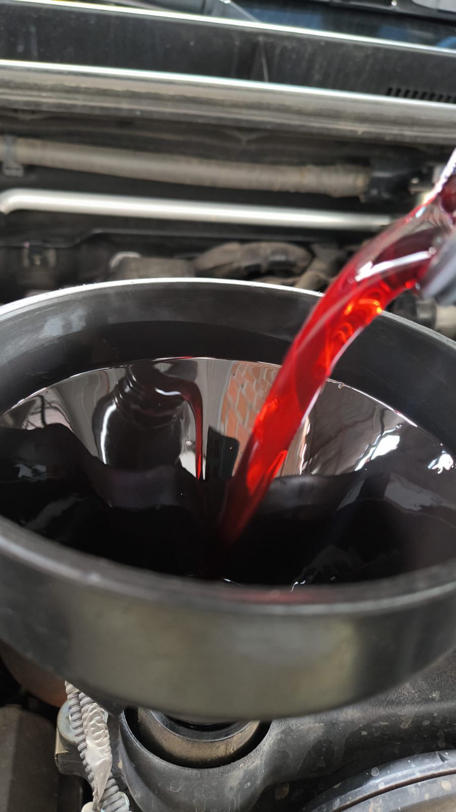 Aceite y filtros